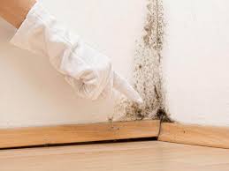 Trusted Madison, SD Mold Prevention & Removal  Experts